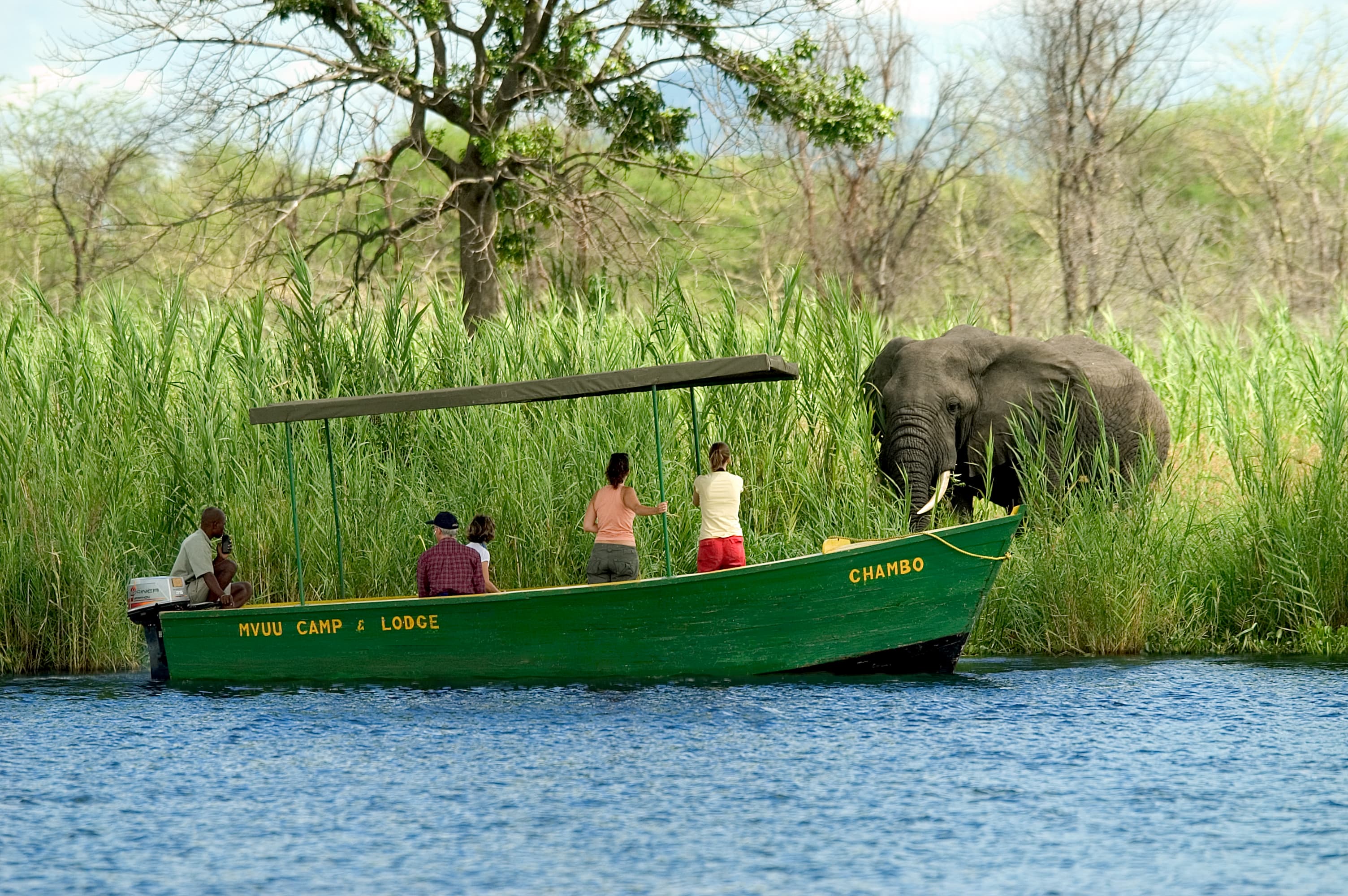 Zambia safari landscape