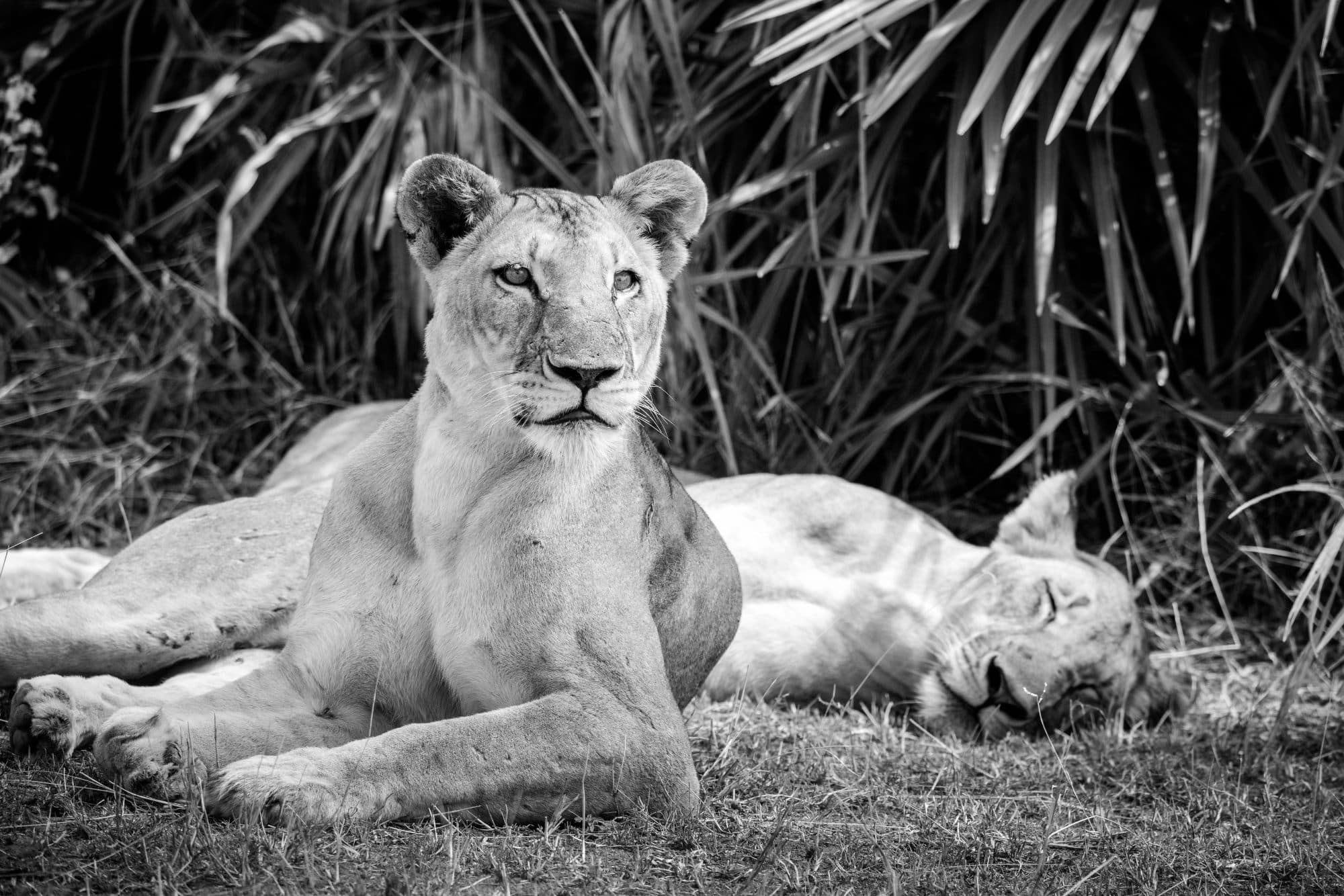 Tanzania travel